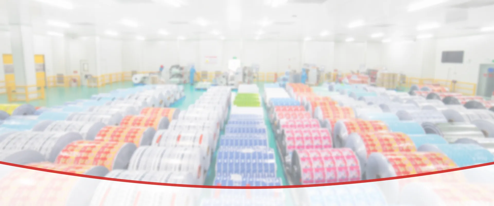 Professional Flexible Packaging Supplier with Decades of Experience desktop image