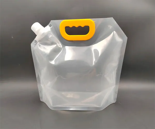 Transparent Pouch